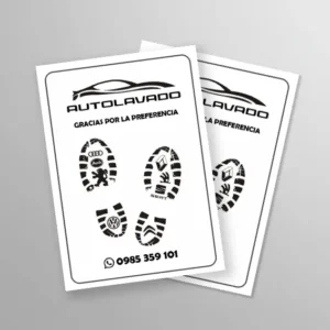 posa pies para automóviles